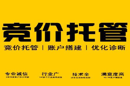 SEM外包策略在电商平台的成功案例